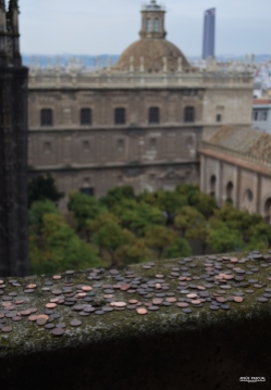 Monedas subiendo a la Giralda, sobre el Patio de los Naranjos de la Catedral