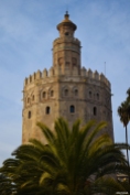 Torre del Oro sobre palmera